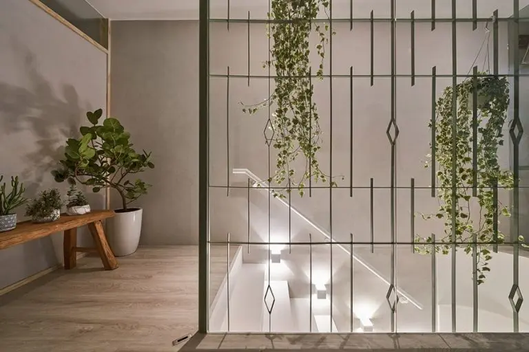 home-image-6